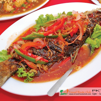 Free Template by colorlib.com