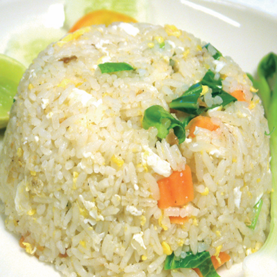 Free Template by colorlib.com