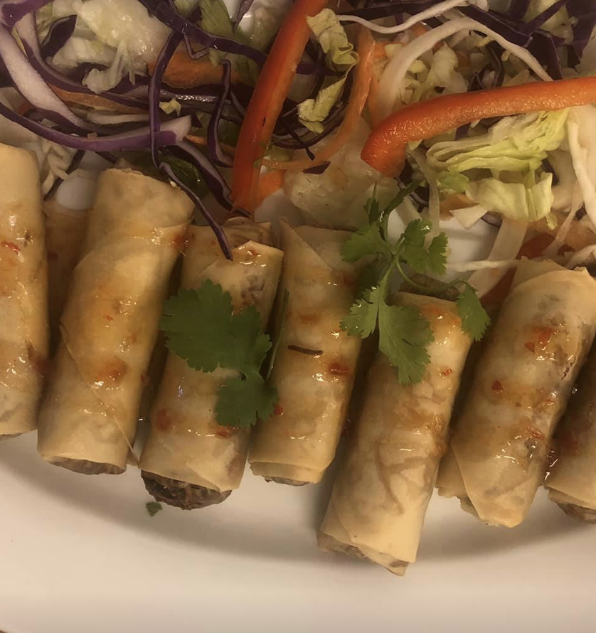 Free Template by colorlib.com